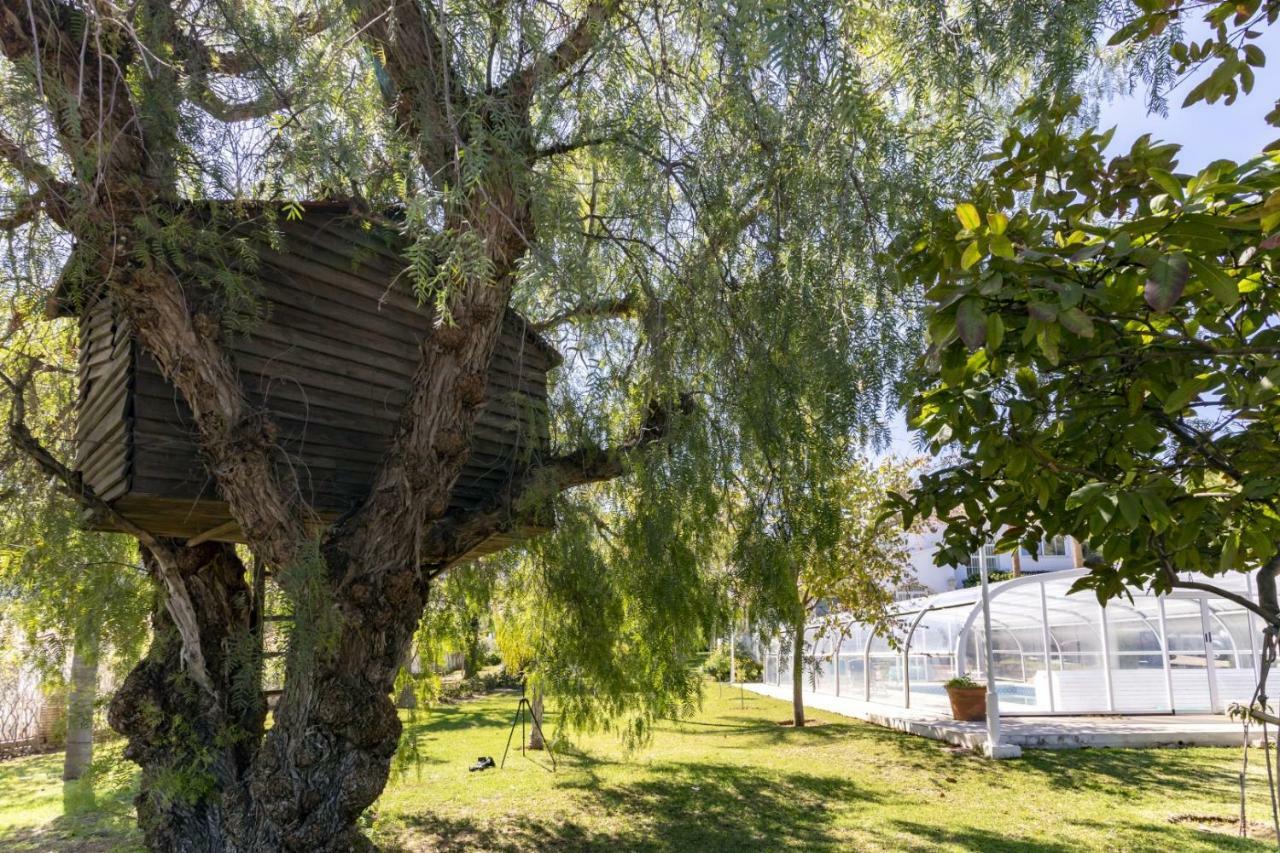 Villa Tocororo En Pinos De Alhaurin Alhaurín de la Torre Zewnętrze zdjęcie