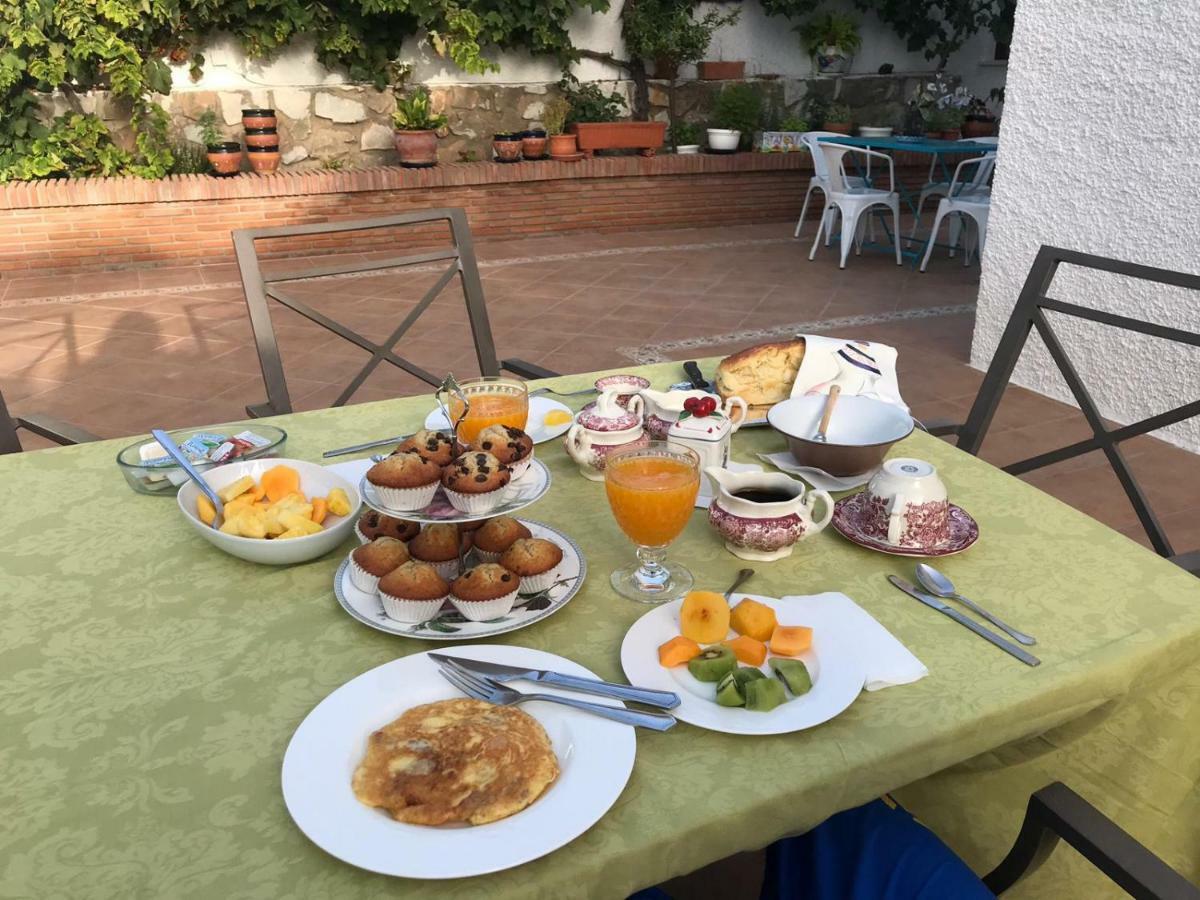 Villa Tocororo En Pinos De Alhaurin Alhaurín de la Torre Zewnętrze zdjęcie