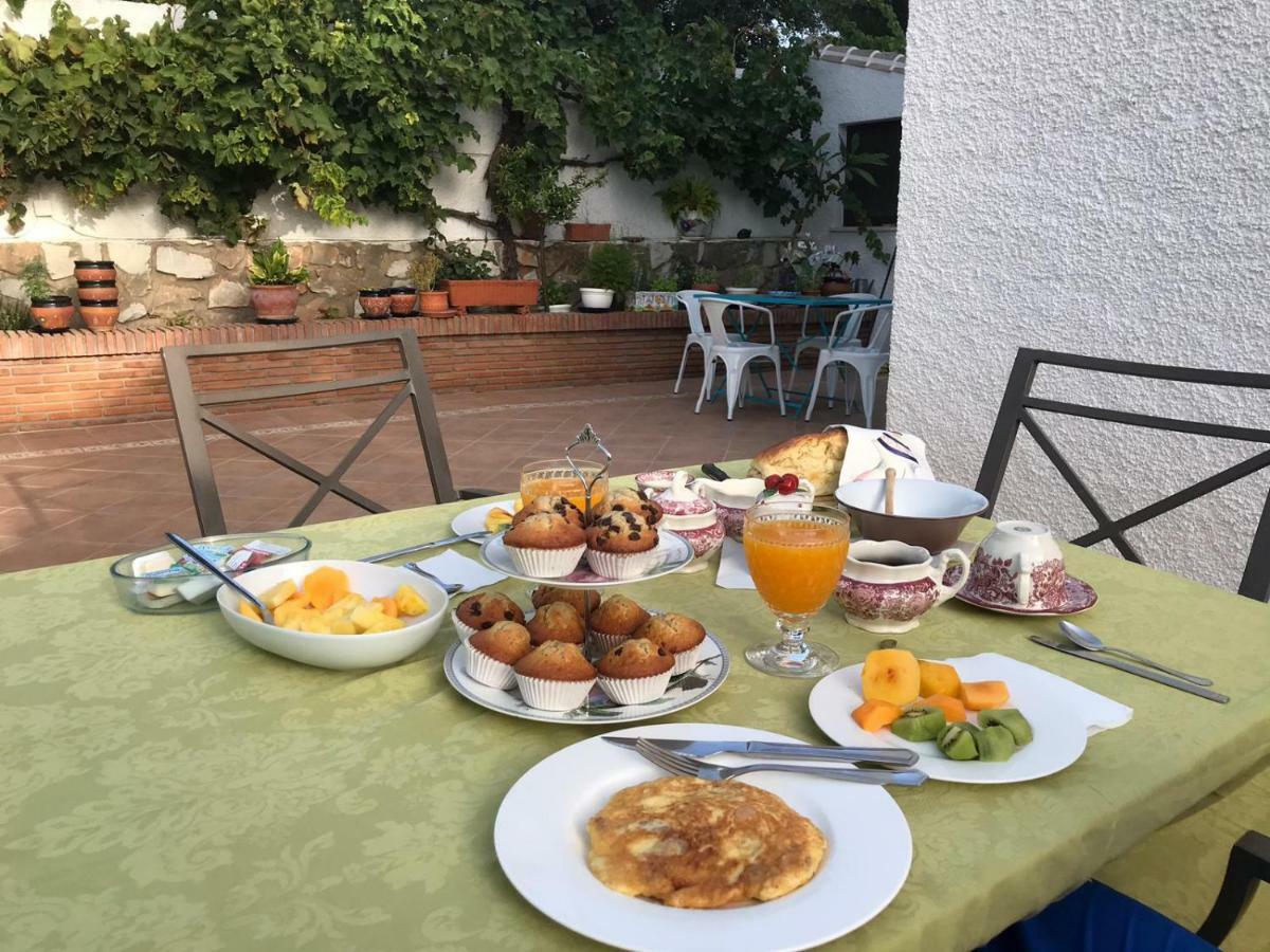Villa Tocororo En Pinos De Alhaurin Alhaurín de la Torre Zewnętrze zdjęcie